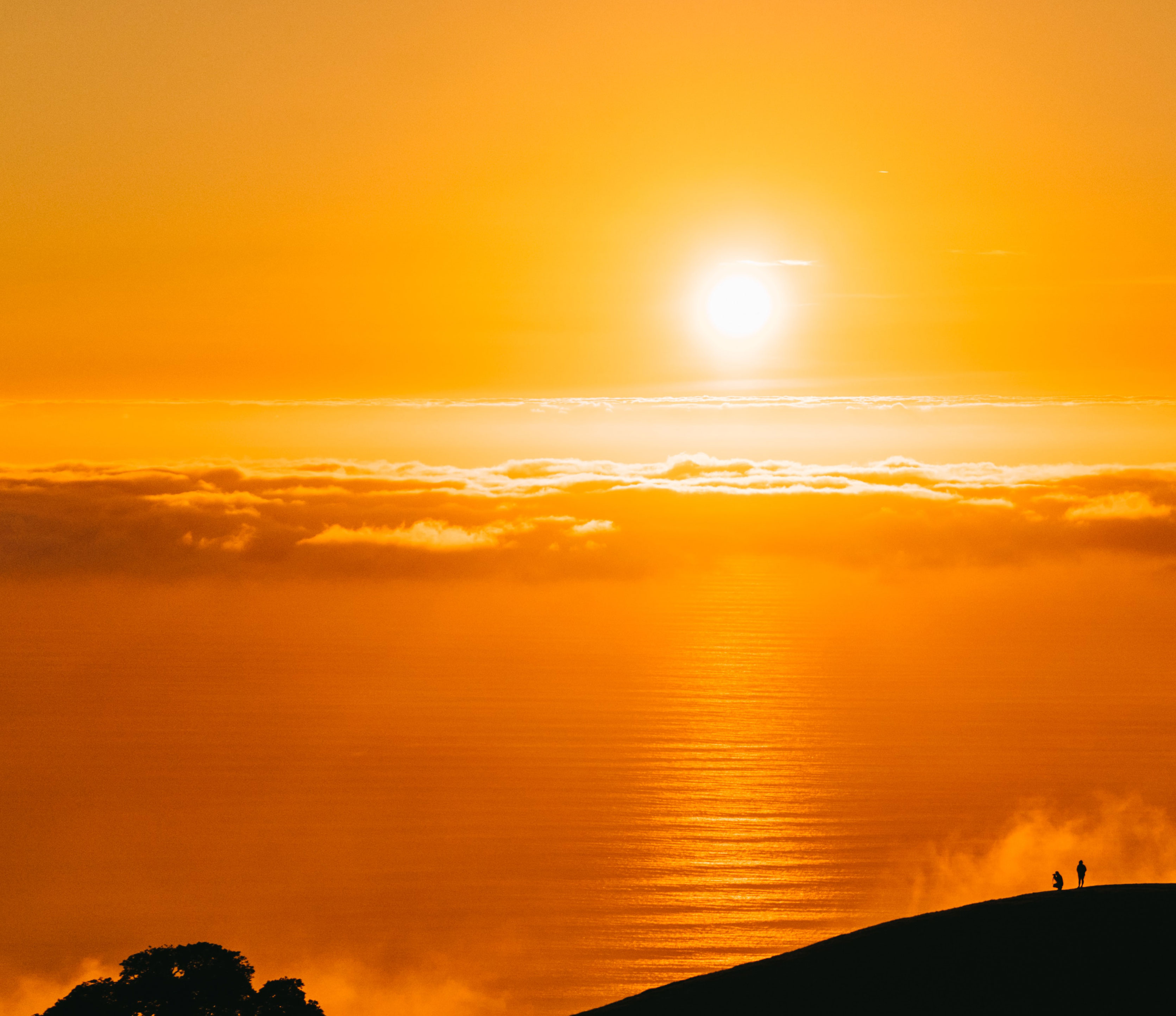 Release: "A Perfect Day"